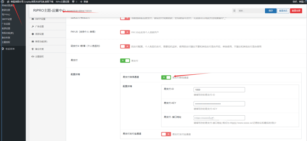 图片[1]-RiPRO主题-日主题对接开启易支付插件-青狐资源网